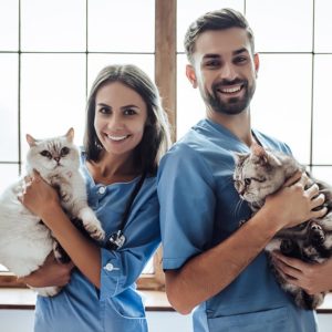073Crea Tu Propia Clinica Veterinaria.jpg