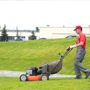 089Maquinaria de Jardineria y su Mantenimiento.jpg