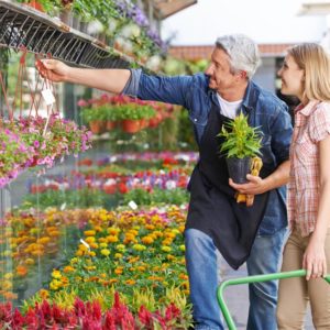 092Operaciones Basicas en Viveros y Centros de Jardineria.jpg