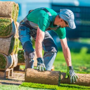 094Operaciones Generales de Jardineria.jpg