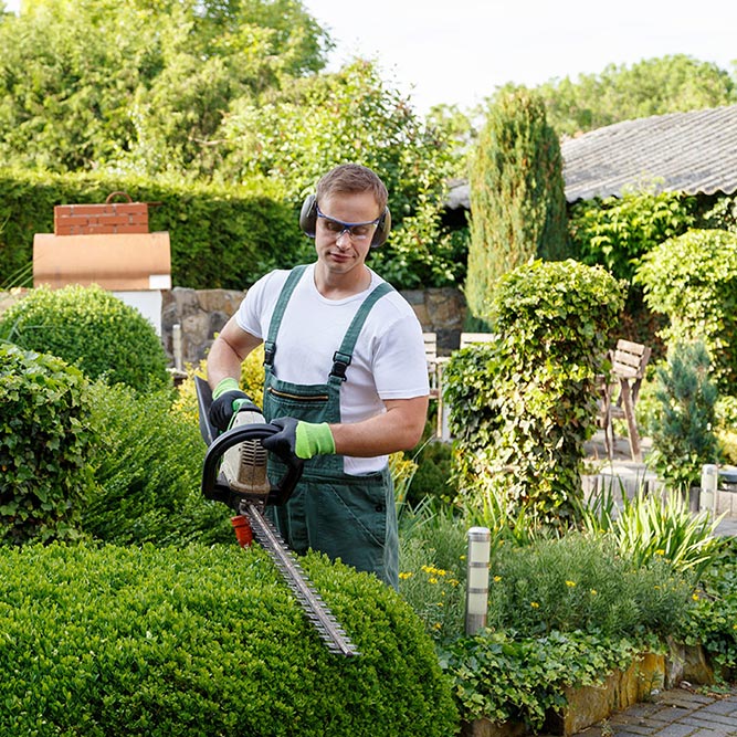 105Programacion y Organizacion de los Trabajos de Jardineria y Restauracion del Paisaje.jpg