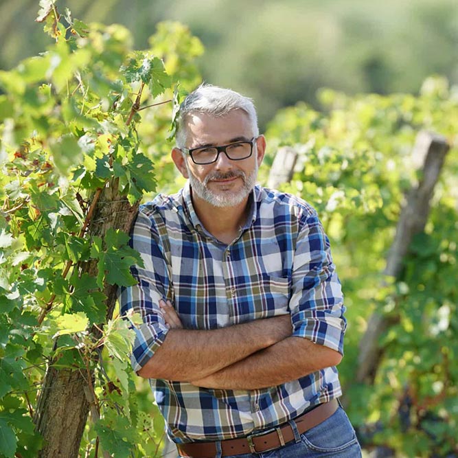 180Materias Primas en la Elaboracion de Vinos y Sidras.jpg