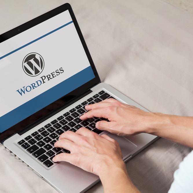 199Como Cambiar de Plantilla en Joomla y Wordpress.jpg
