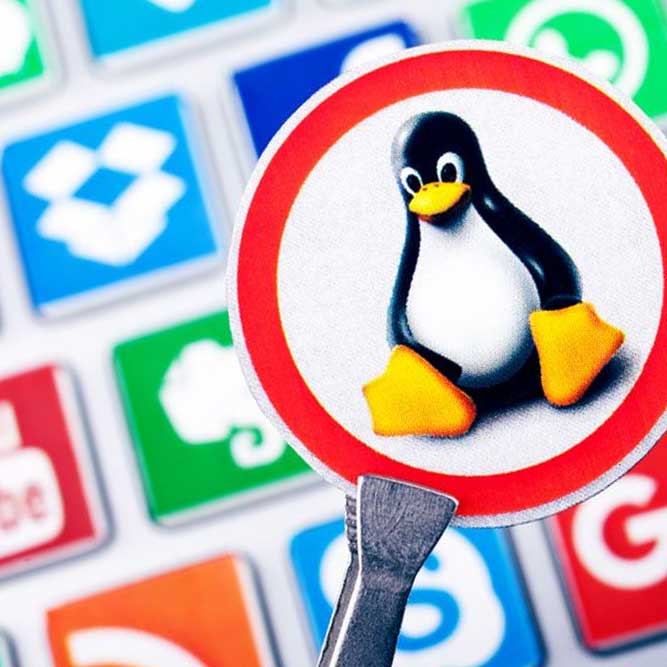 320Primeros Pasos en Linux y MAC OS X Leopard.jpg
