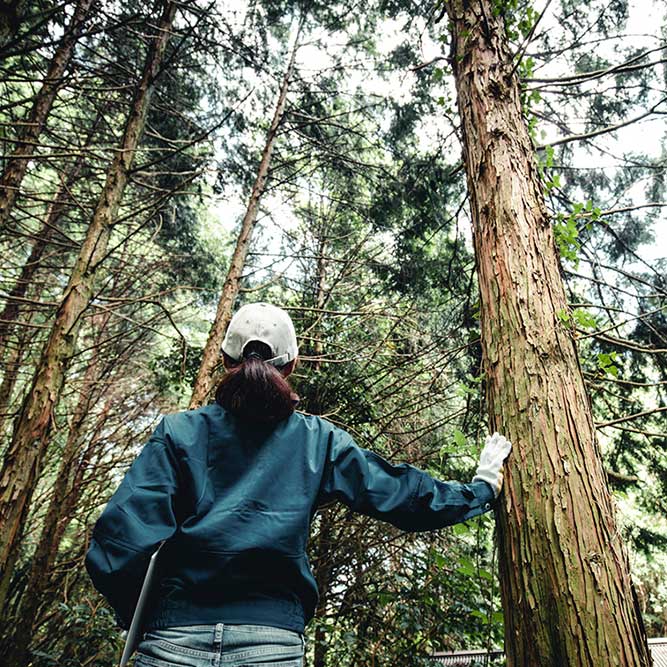 533Sistemas y Tecnicas para la Prevencion de Incendios Forestales. Mantenimiento de Infraestructuras de Prevencion y .jpg
