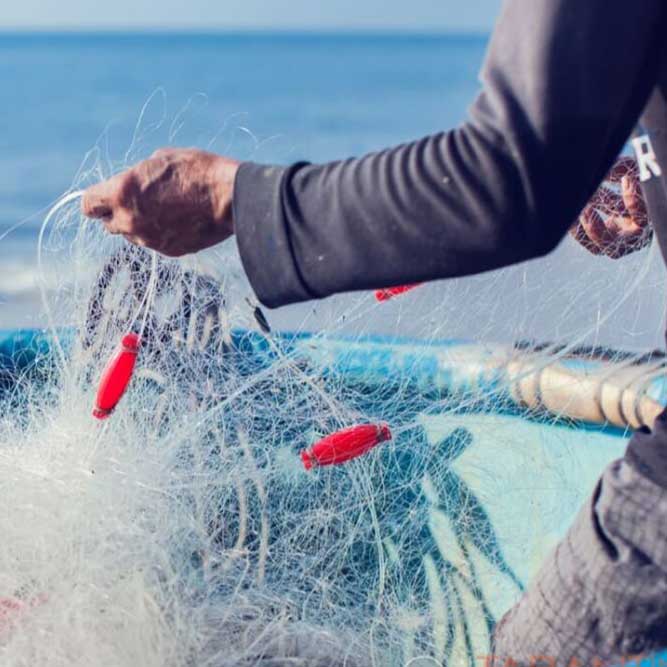 545Curso Online de Primeros Auxilios para Pescadores.jpg