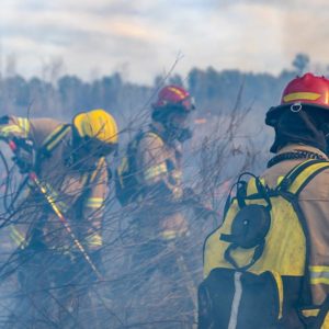 AGAR002PO investigacion de incendios forestales.jpg