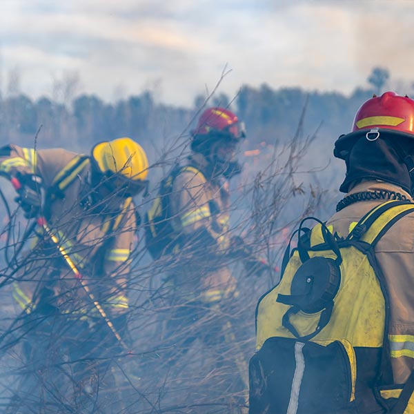 AGAR002PO investigacion de incendios forestales.jpg
