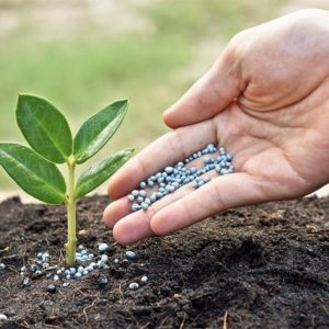 AGAU001PO abonado y fertilizacion en agricultura ecologica.jpg