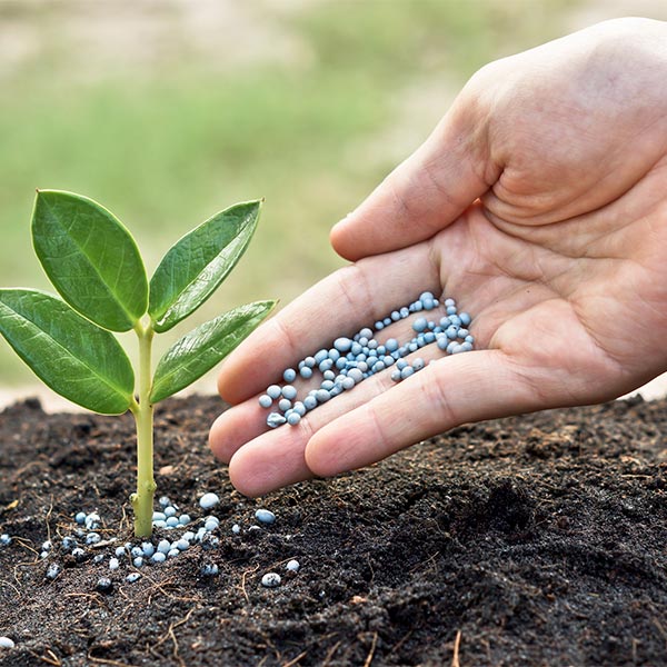 AGAU001PO abonado y fertilizacion en agricultura ecologica.jpg