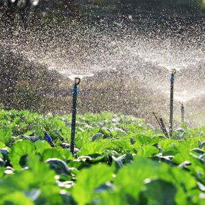 AGAU020PO uso eficiente del agua en el sector agrario.jpg