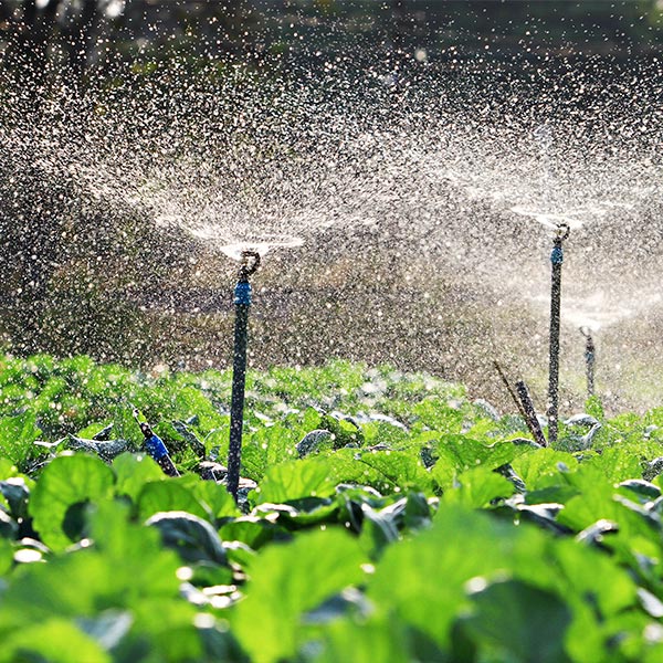 AGAU020PO uso eficiente del agua en el sector agrario.jpg