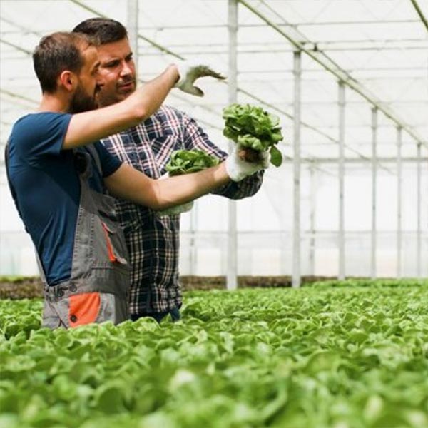 AGAU27 formacion integral para agricultores.jpg