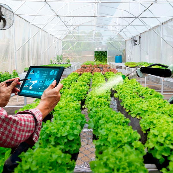 AGAU45 monitorizacion agricola e iot.jpg