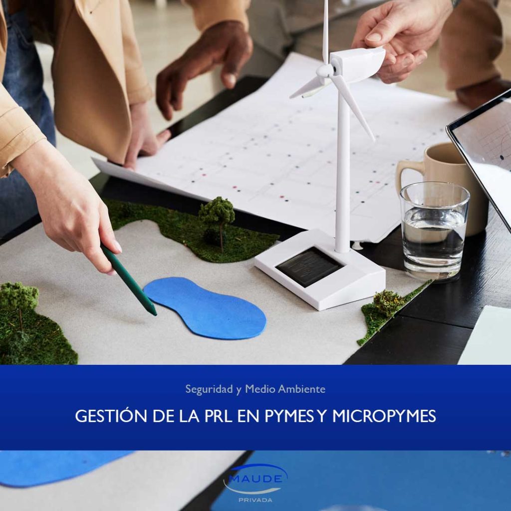 GESTION DE LA PRL EN PYMES Y MICROPYMES.jpg