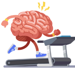 Habilidades Comunicativas Entrenado desde el Cerebro.png