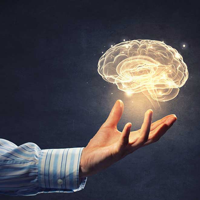 Neuroventas El Cerebro Emocial y Racional.jpg