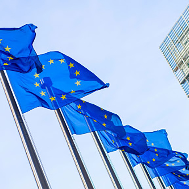 Normativa Alergenos Normativa Europea.jpg