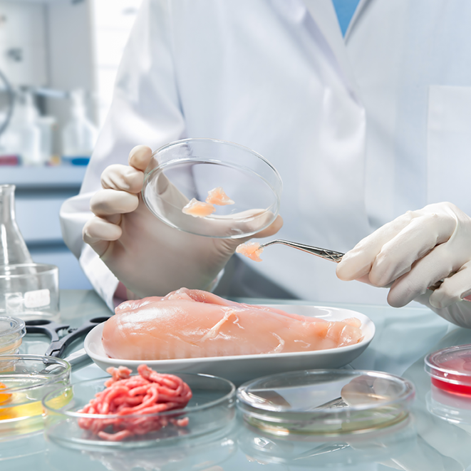 Normativa Conservacion Alimentos Tipos de Alimentos de Origen Animal.png