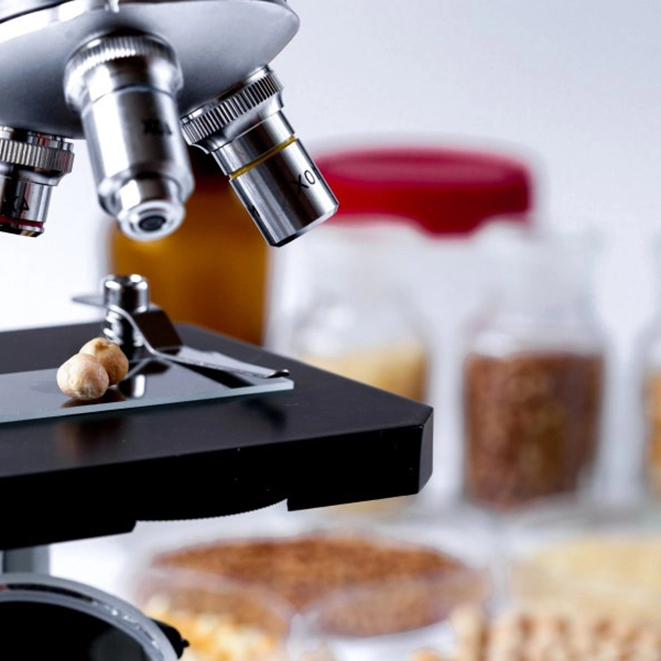 Normativa Conservacion Alimentos Tipos de Alimentos de Origen no Animal.jpg