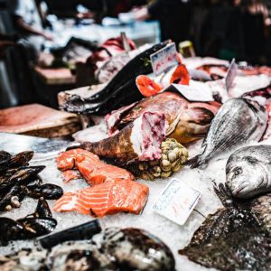 Preelaboracion y conservacion de pescados crustaceos y moluscos.jpg