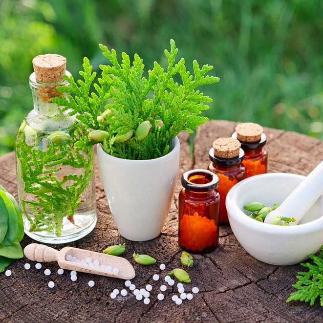 SANT066PO HOMEOPATIA.jpg