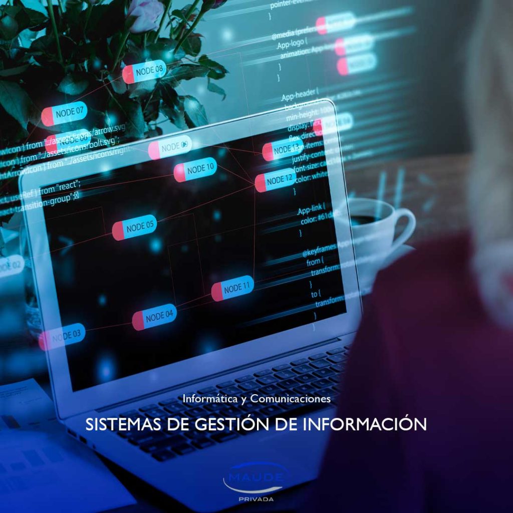 SISTEMAS DE GESTION DE INFORMACION 1.jpg