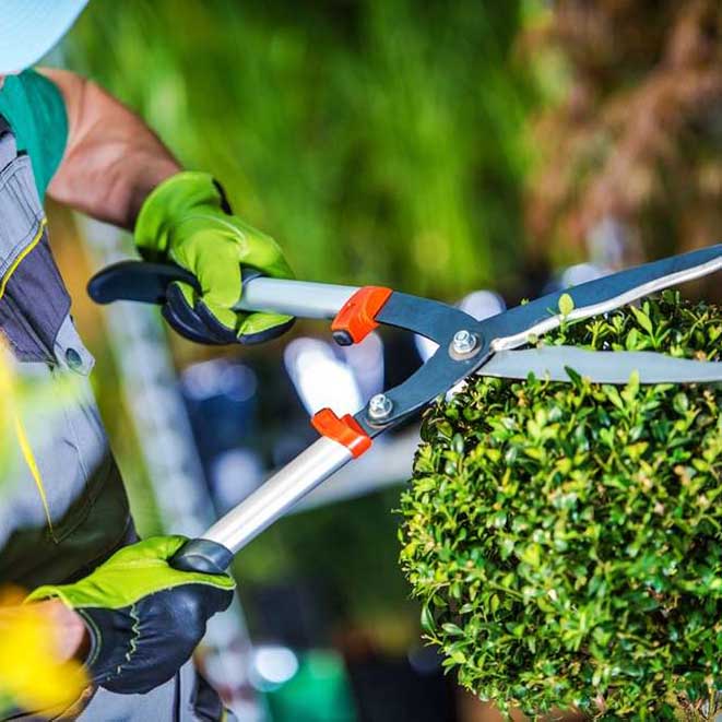 Tecnico Profesional en Jardineria. Diseno Creacion y Mantenimiento de Jardines.jpg