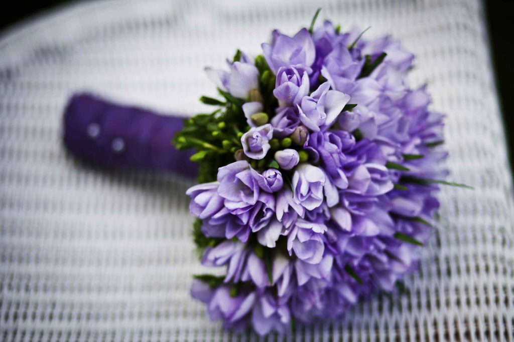 auxiliar floristeria.jpg