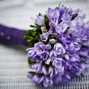 auxiliar floristeria.jpg