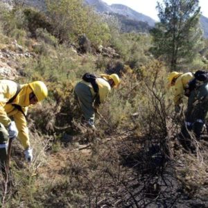 brigadasforestales e1504200149246.jpg