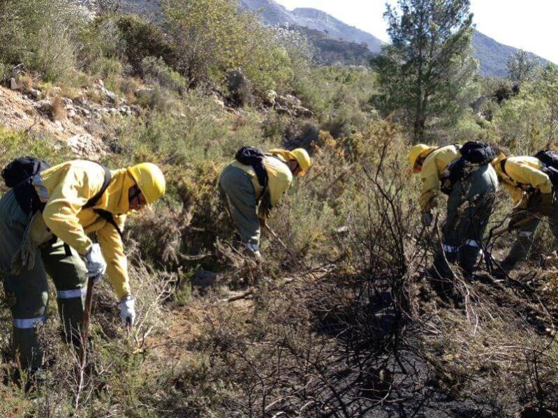 brigadasforestales e1504200149246.jpg