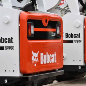 carnet bobcat.jpg