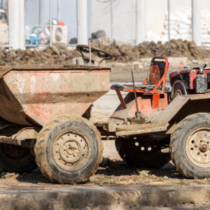 carnet dumper 1.jpg