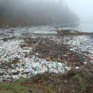 contaminacion suelo.jpg