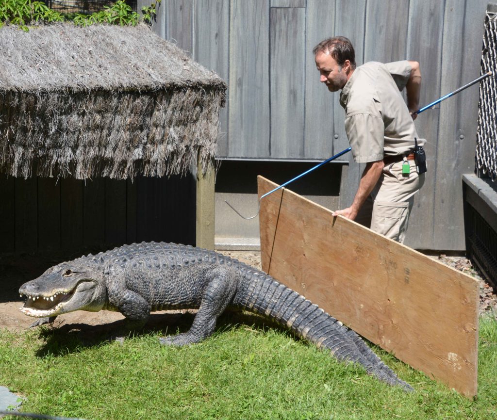 cuidador zoo.jpg