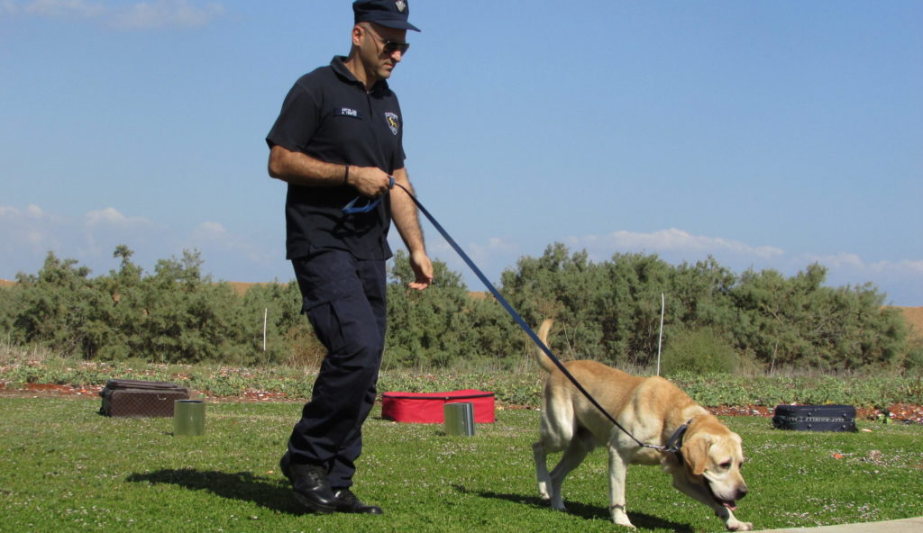 deteccion sustancias caninos scaled 1.jpg