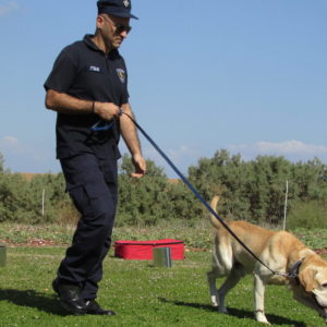 deteccion sustancias caninos scaled 1.jpg