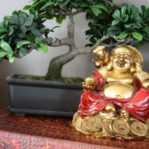 fengshui.jpg