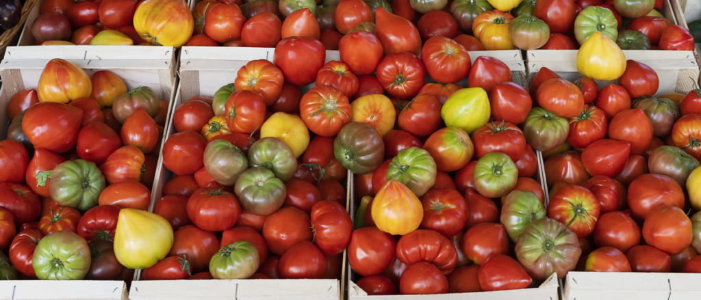 formacion integral para trabajadores de almacen hortofruticula.jpg