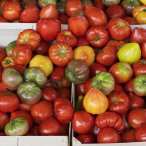 formacion integral para trabajadores de almacen hortofruticula.jpg