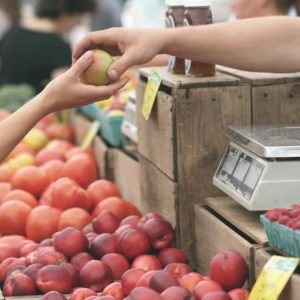 fruteria.jpg