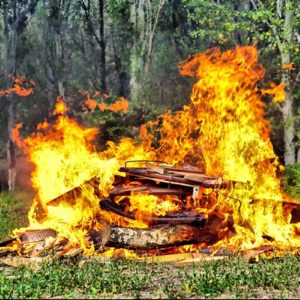 investigacion de incendios forestales.jpg