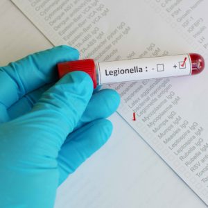 legionelosis.jpg