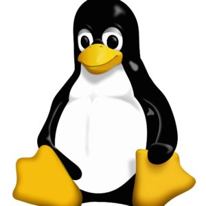 linux.jpg
