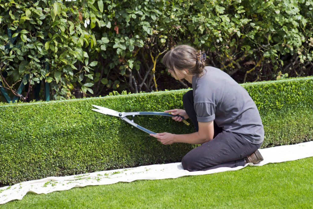 mantenimiento jardineria.jpg