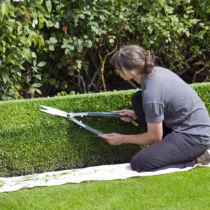 mantenimiento jardineria.jpg