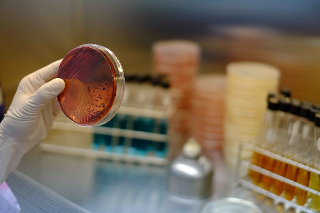 microbiologia.jpg