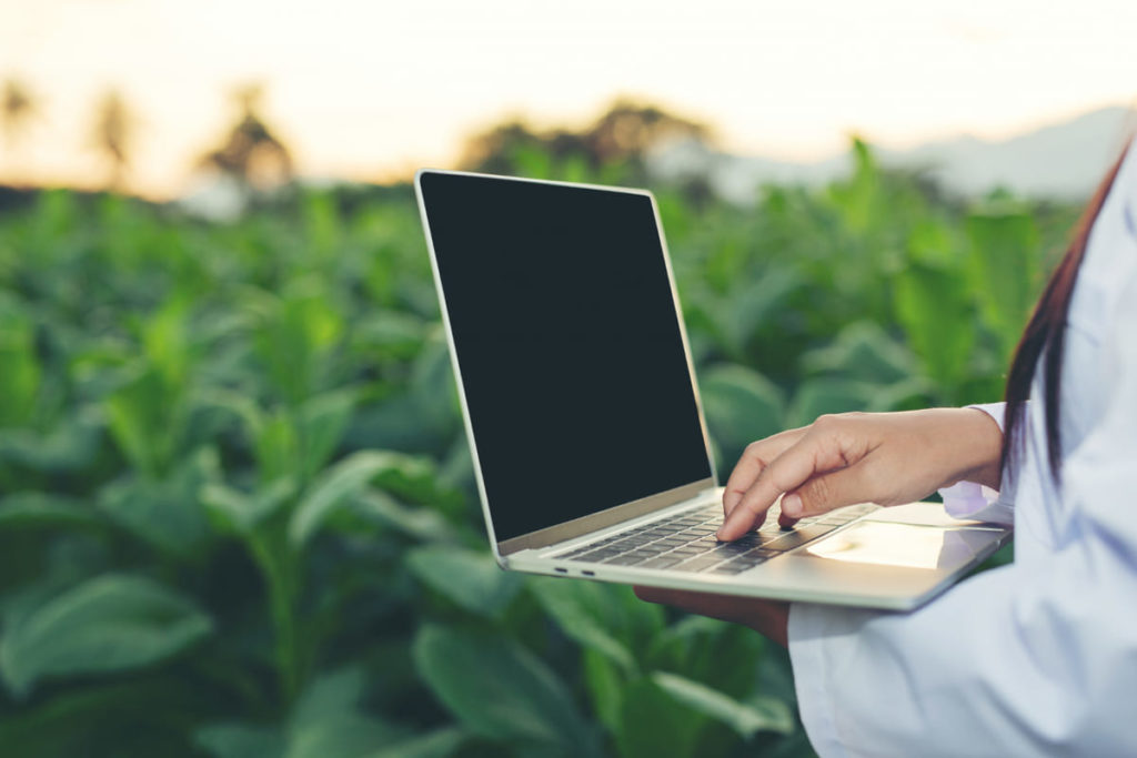 monitorizacion agricola e iot.jpg