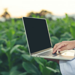 monitorizacion agricola e iot.jpg